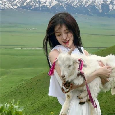 命运航班第四季