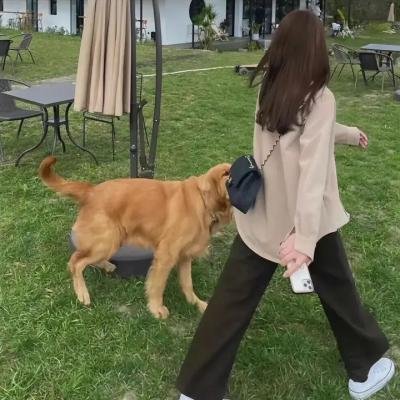 再见玛丽·包萍